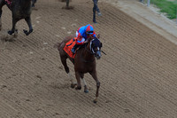 z2026103_justinmanning_eclipsesportswire_smartyjonesstakesday__JWM_0119