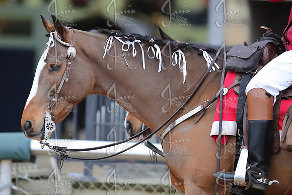 z2026103_justinmanning_eclipsesportswire_smartyjonesstakesday__JWM_0410
