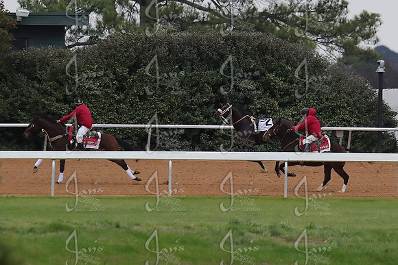z2026103_justinmanning_eclipsesportswire_smartyjonesstakesday__JWM_0503