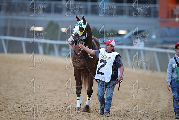 z2026103_justinmanning_eclipsesportswire_smartyjonesstakesday__JWM_0656