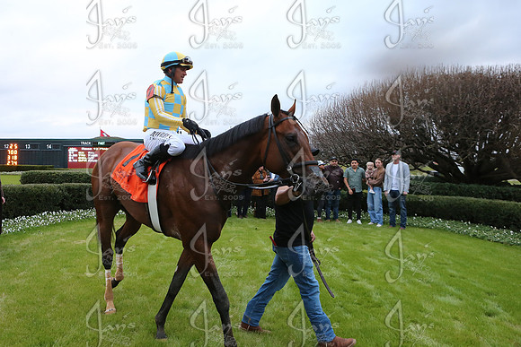 z2026103_justinmanning_eclipsesportswire_smartyjonesstakesday__JWM_0329