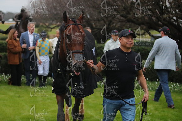 z2026103_justinmanning_eclipsesportswire_smartyjonesstakesday__JWM_1009