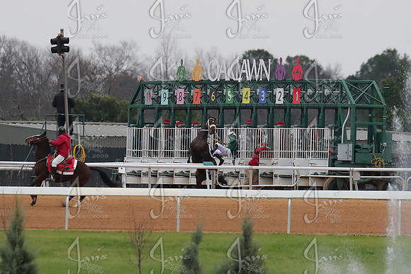 z2026103_justinmanning_eclipsesportswire_smartyjonesstakesday__JWM_0492