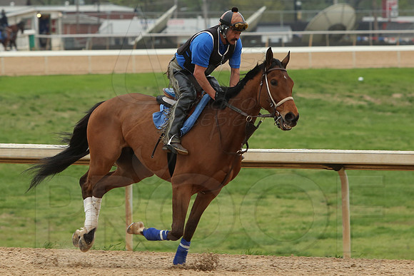Arkansas Derby 4-11-2014 (© Justin Manning) JWM_0196
