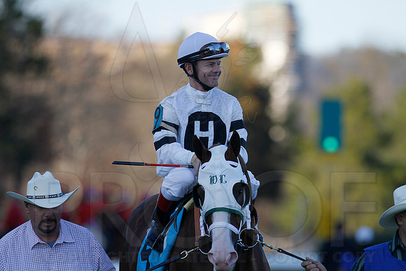 Oaklawn 1-21-13 (Smarty Jones Stakes) (Justin Manning)0145