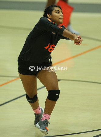 Camden Fairview @ Malvern JV_JWM_0135