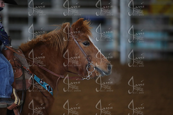 Southern Junior Rodeo Association 1-17-26_JWM_0129