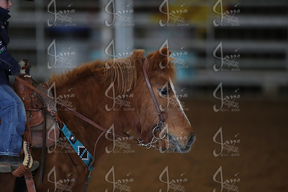 Southern Junior Rodeo Association 1-17-26_JWM_0130