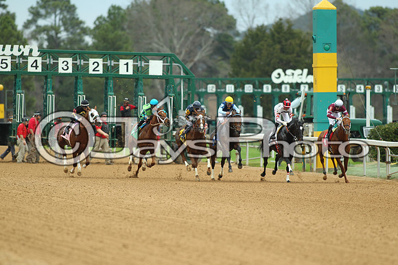 Southwest Stakes (GradeIII) 2-20-17_JWM00166
