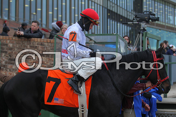 Oaklawn Smarty Jones Stakes 1-18-2016 (©Justin Manning) JWM_(0172