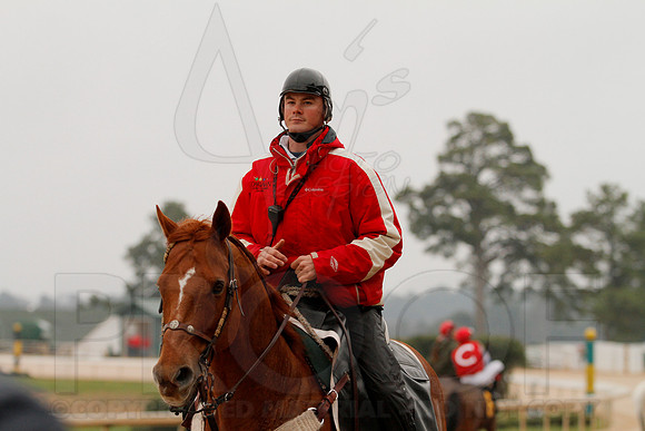 Rebel Stakes 3-15-14 3-15-2014 (© Justin Manning) JWM_0130
