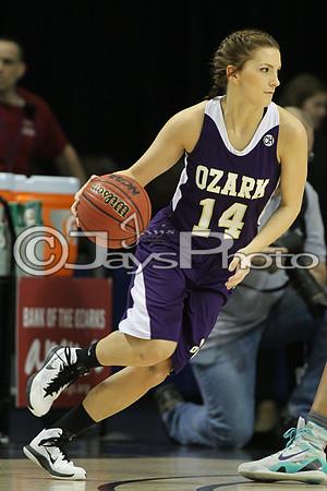Riverview vs. Ozark 4A Girls State Finals 3-13-2015 (©Justin Manning) JWM_029