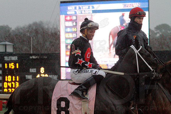 Dixie Belle Stakes 1-10-14 (©Justin Manning) JWM_0061