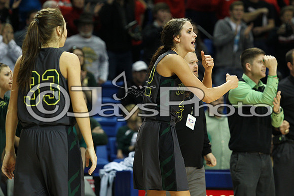 Nemo Vista vs. Wonderview 1A Girls State Finals 3-12-2015 (©Justin Manning) JWM_432