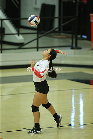 Camden Fairview @ Malvern JV_JWM_0325