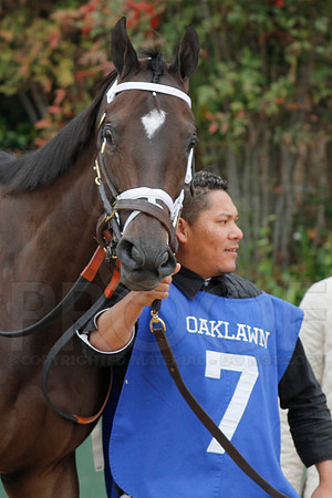 Fantasy Stakes 4-5-2014 (© Justin Manning) JWM_0473