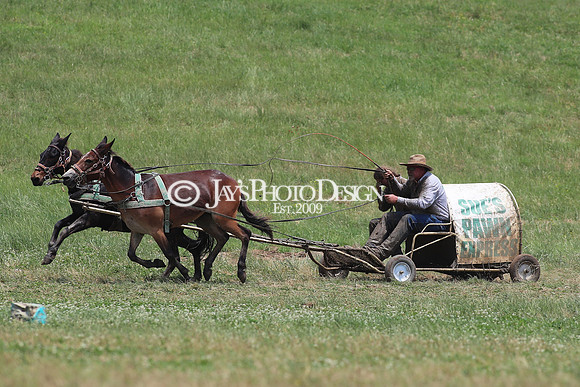 Whiskey Ridge Ranch (Chuckwagon Races) 5-26-24_JWM_0679