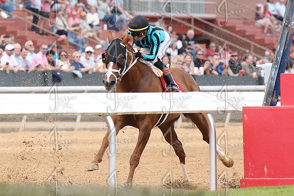 z2026301_justinmanning_eclipsesportswire_rebelstakesday__JWM_0459