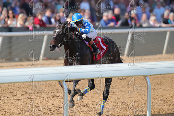 z2026301_justinmanning_eclipsesportswire_rebelstakesday__JWM_0548