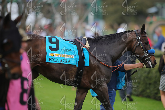 z2026301_justinmanning_eclipsesportswire_honeybeestakes__JWM_1245