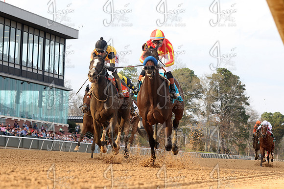 z2026301_justinmanning_eclipsesportswire_honeybeestakes__JWM_2164