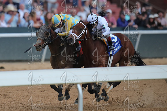 z2026301_justinmanning_eclipsesportswire_rebelstakes__JWM_2644