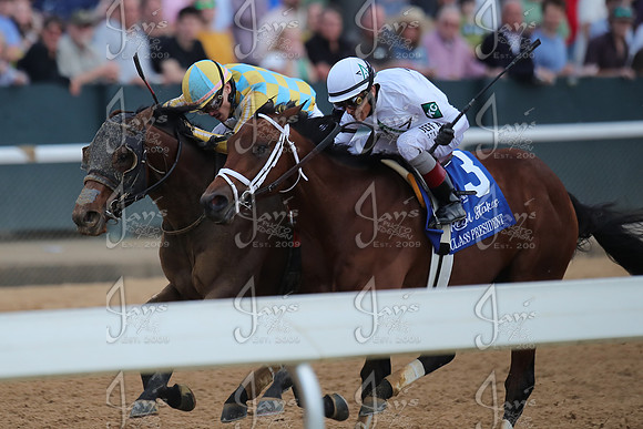 z2026301_justinmanning_eclipsesportswire_rebelstakes__JWM_2652
