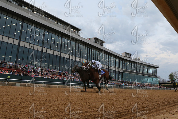 z2026301_justinmanning_eclipsesportswire_rebelstakes__JWM_3641