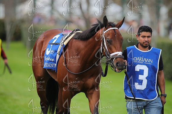 z2026301_justinmanning_eclipsesportswire_rebelstakes__JWM_2300
