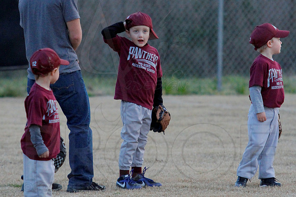 T-ball Angels vs Panthers 3-28-13 (© Justin Manning) JWM0065
