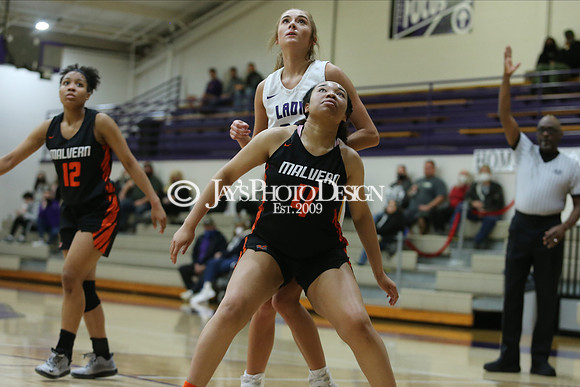 Malvern @ Fountain Lake 1-26-21_JWM_0255