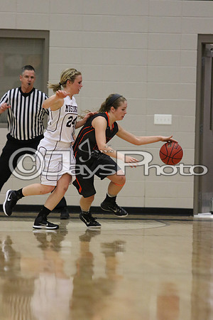 Lamar vs. Perryville Girls 3A State 3-6-2015 (©Justin Manning) JWM_109