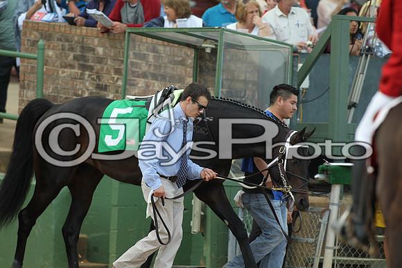 JWM_170318_RebelStakes_00673