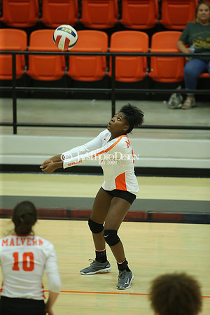 Camden Fairview @ Malvern JV_JWM_0236