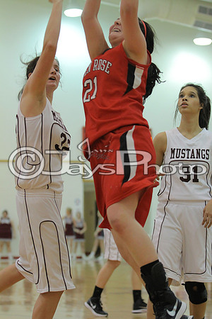 Glen Rose vs. Perryville Girls 3A District Tournament 2-20-2015 (©Justin Manning) JWM_180