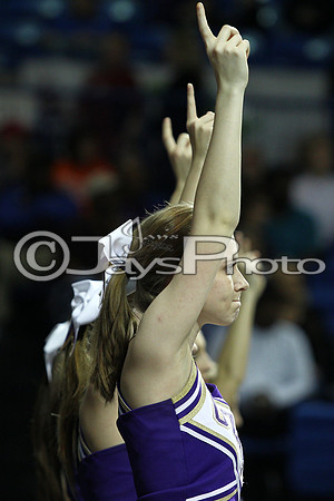 Riverview vs. Ozark 4A Girls State Finals 3-13-2015 (©Justin Manning) JWM_243