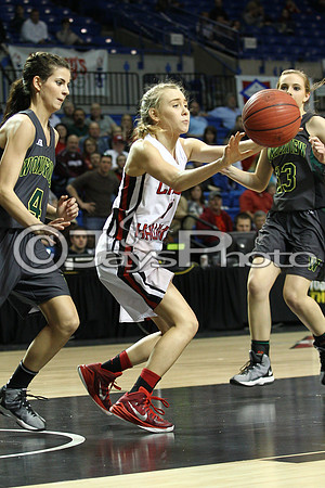 Nemo Vista vs. Wonderview 1A Girls State Finals 3-12-2015 (©Justin Manning) JWM_262