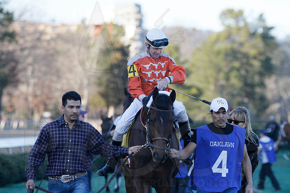 Oaklawn 1-21-13 (Smarty Jones Stakes) (Justin Manning)0125