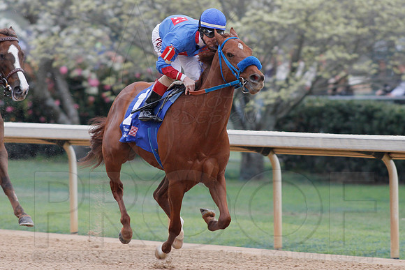 Fantasy Stakes 4-5-2014 (© Justin Manning) JWM_0840