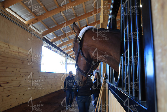 z2026328_justinmanning_eclipsesportswire_arkansasderbyday_JWM_0069
