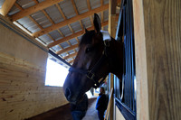 z2026328_justinmanning_eclipsesportswire_arkansasderbyday_JWM_0077