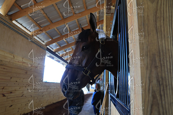 z2026328_justinmanning_eclipsesportswire_arkansasderbyday_JWM_0077