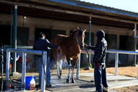 z2026328_justinmanning_eclipsesportswire_arkansasderbyday_JWM_0032