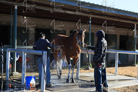 z2026328_justinmanning_eclipsesportswire_arkansasderbyday_JWM_0032
