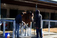 z2026328_justinmanning_eclipsesportswire_arkansasderbyday_JWM_0039