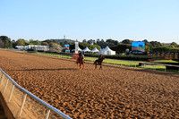 z2026328_justinmanning_eclipsesportswire_arkansasderbyday_JWM_0004