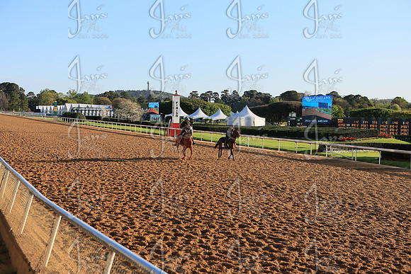 z2026328_justinmanning_eclipsesportswire_arkansasderbyday_JWM_0004