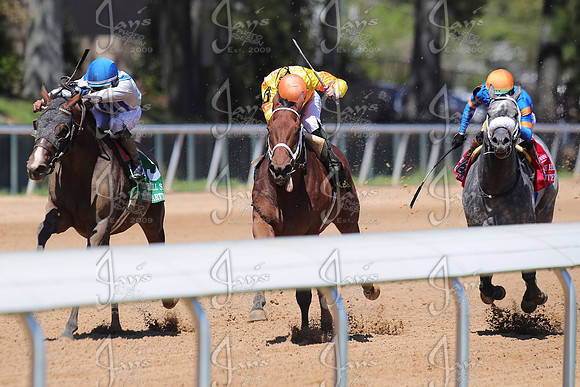 z2026328_justinmanning_eclipsesportswire_temperencehillstakes_JWM_1065