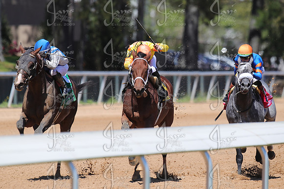 z2026328_justinmanning_eclipsesportswire_temperencehillstakes_JWM_1064