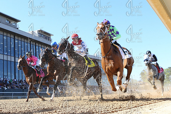 z2026328_justinmanning_eclipsesportswire_americanpharoahovernightstakes_JWM_1570